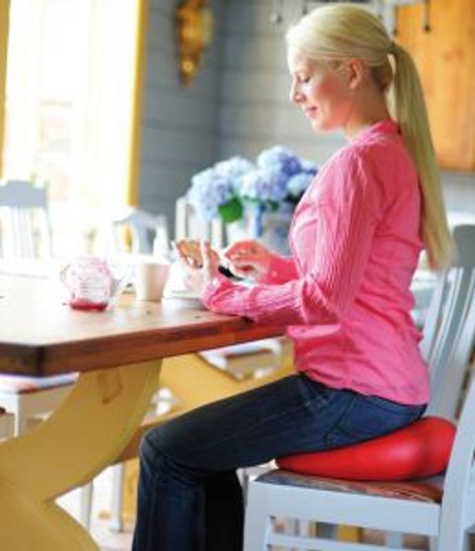 Sissel sitfit plus 
