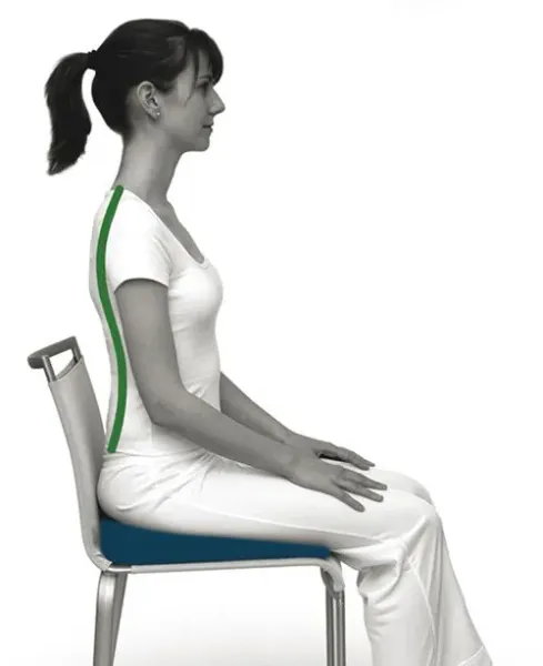 Sissel Sit Special 2in1 sittepute 